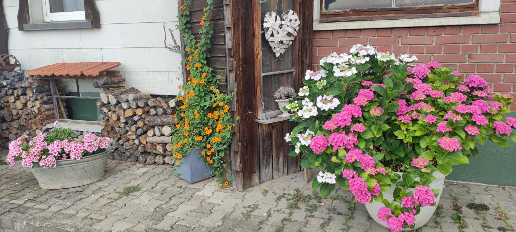 Gaestehaus Fechtig Hergensweiler Exteriér fotografie