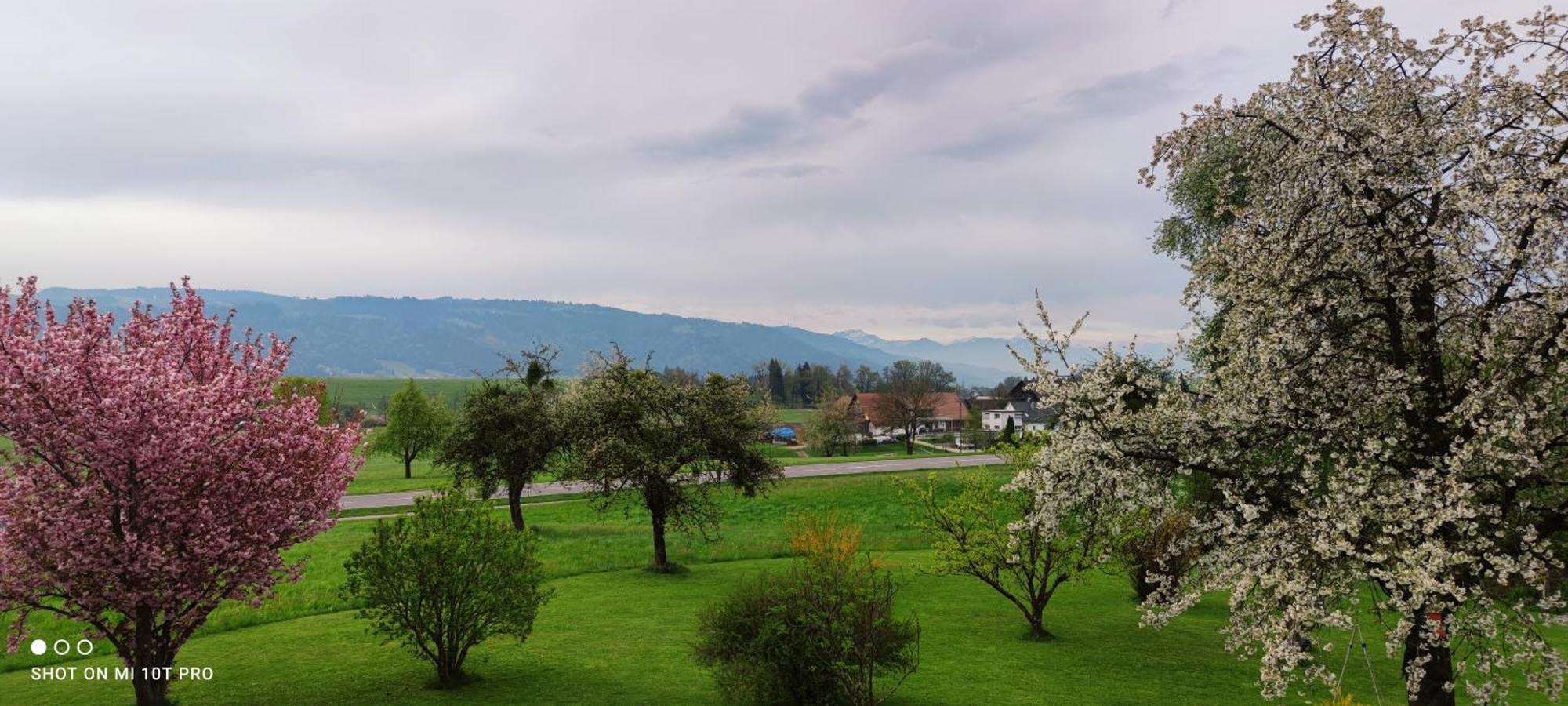 Gaestehaus Fechtig Hergensweiler Exteriér fotografie
